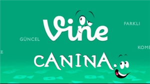 Hangi Vine Cısın