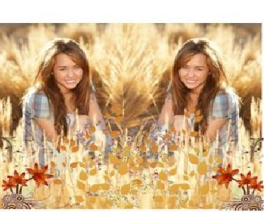 How Much Do U Luv Miley?