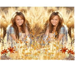 How Much Do U Luv Miley?