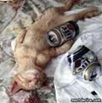 Alcoolique Ou Pas?