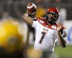 What Stampeder Are You?