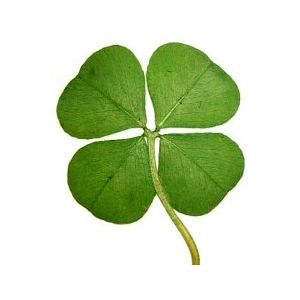 Luck'o'metre