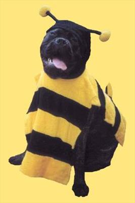 How Awesome Are Beedogs?