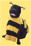 How Awesome Are Beedogs?