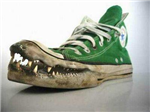 Crocodile Shoes