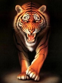 Which Animal Are You?