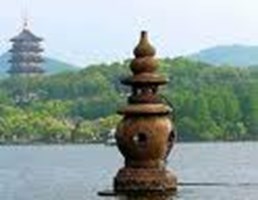 杭白菊的產地在哪?