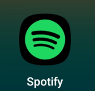 Seçtiğin müziklere göre en sana göre olan müzik türü 
