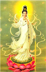 Long Nhan Dao