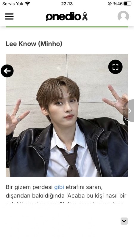Stray kids fotoğrafları
