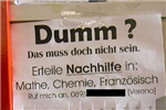 Bist Du Wirklich Dumm ?
