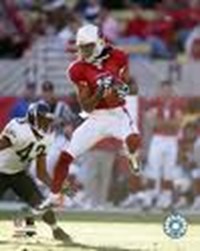 Which Nfl Reciever Are You??