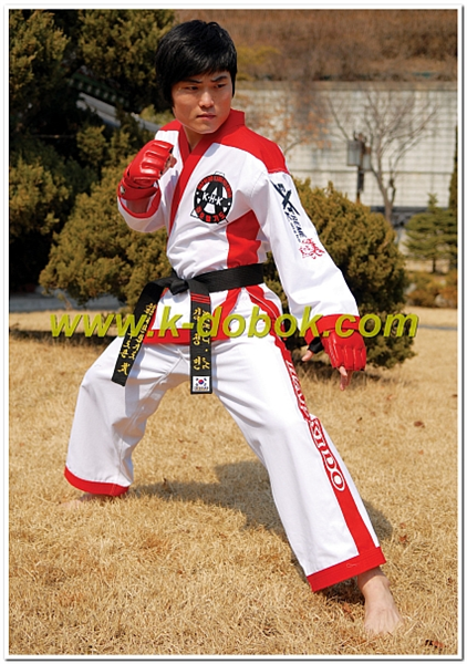 Modelo 08