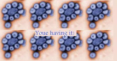 How Likely Are You To Get Swine Flu?