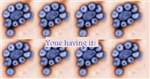 How Likely Are You To Get Swine Flu?