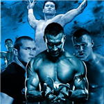 Hangi Wwe Yıldızısın