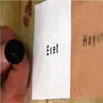 Referandum Anketi