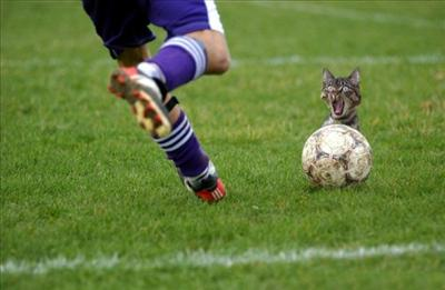 Hokej Nebo Fotbal