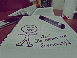 Seni Seviyomu