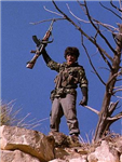 U.S. Army Survival Simulation