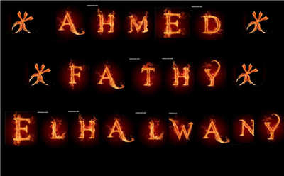 احمد فتحى الحلوانى