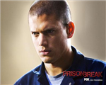 Hangi Prison Break Karakterisin ?