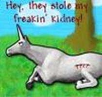 Which Charlie The Unicorn Character Are You