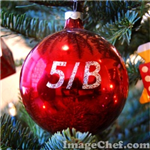 5B Anketi