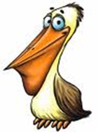 Pelican  Ou Perroquet