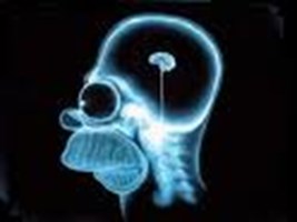 Siendo Sinceros, ¿Qué Edad Tiene Tu Cerebro?