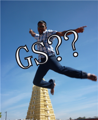 Gs Election