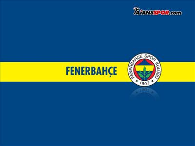 Anket