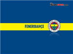 Anket