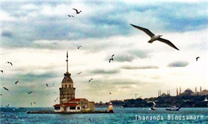 Tarzındaki Dizi