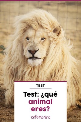 Qué animal eres