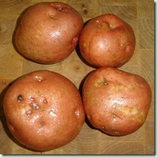 Quelle Patate Est-Tu?