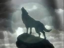 ¿Que Animal Serias?