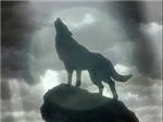 ¿Que Animal Serias?