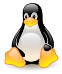 Operating System Survey