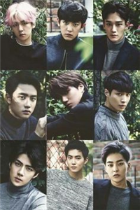 Exo Fanı Mısın?