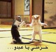 مهييس اد ايه