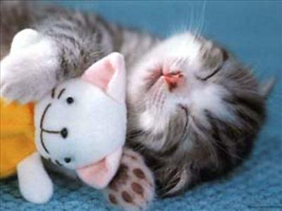 How Gud Loooking R U????