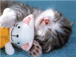 How Gud Loooking R U????