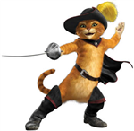 Top Gato Da Semana