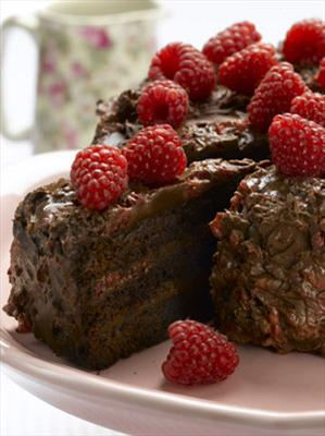 T Plutot Gateaux O Chocolat Ou Plutot Gateaux A La