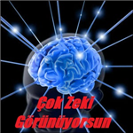 Ne Kadar Zekisin?