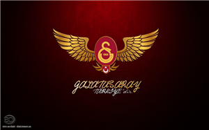 Galatasaray I Ne Kadar Seviyorsu