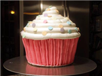 Chance That You Will Eat A Cupcake Today