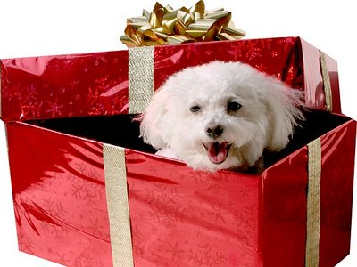 Perrito 