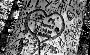Qui T'aime?